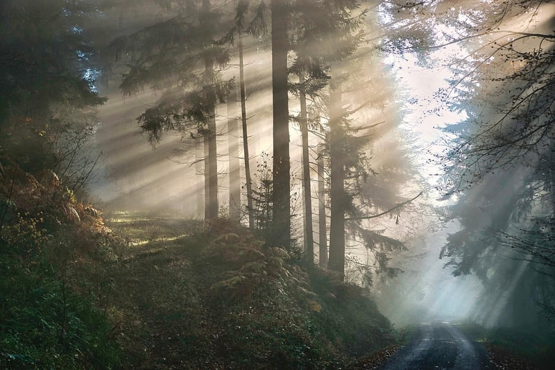 Unveiling Hidden Realities